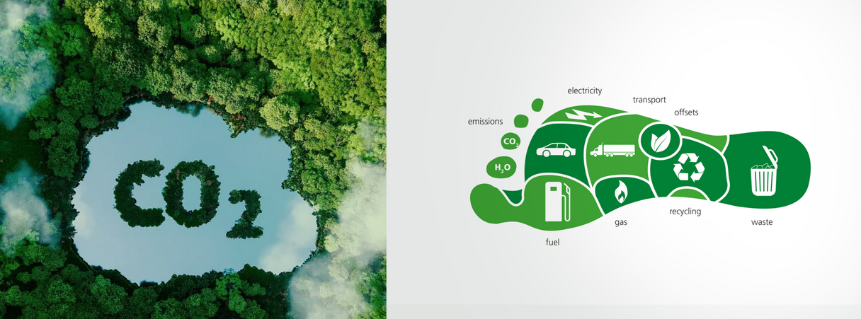 before-after-carbon-1.png
