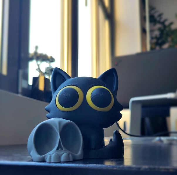 cat.png